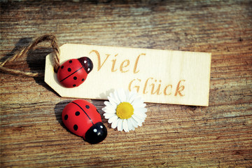 Grußkarte - Viel Glück - zwei Marienkäfer 