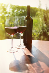 Wine and grapes. Lavaux region, Switzerland