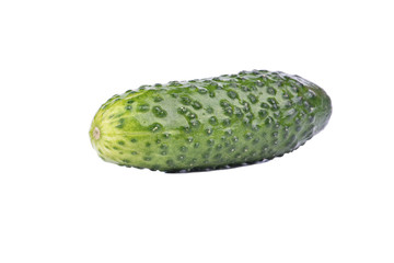 Cucumber