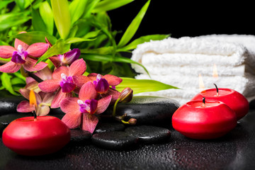 spa concept of blooming twig red orchid flower, phalaenopsis, ba