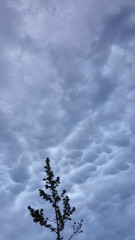 Dramatic sky of mammatus clouds