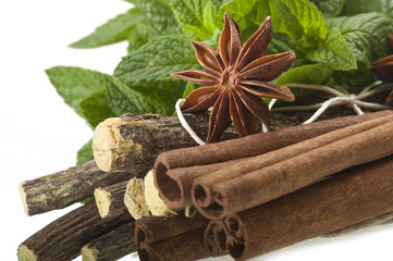 cinnamon,star anise,mint,licorice,close up on the white
