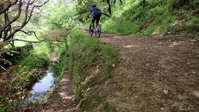 mountain bicycle riding in the woods close to a brook