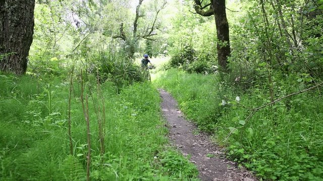 mountain bicycle riding in the woods