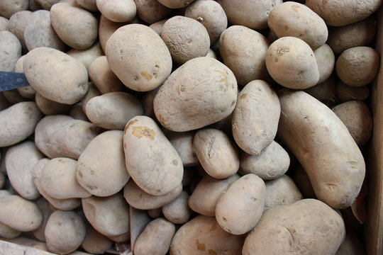 Pommes de terre sur le march&eacute;