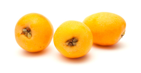 nispero, Japanese medlar fruit