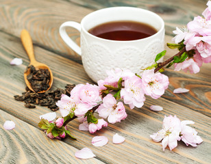 Obraz na płótnie Canvas Cup of tea and sakura blossom