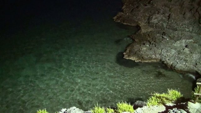 Sea stack, at night