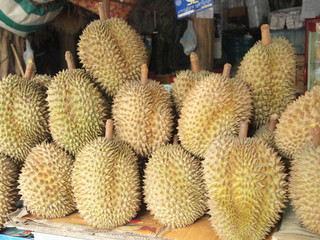 durian