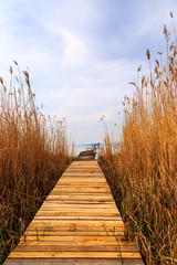 Panele Szklane  Drewniane molo w spokojnym jeziorze Balaton
