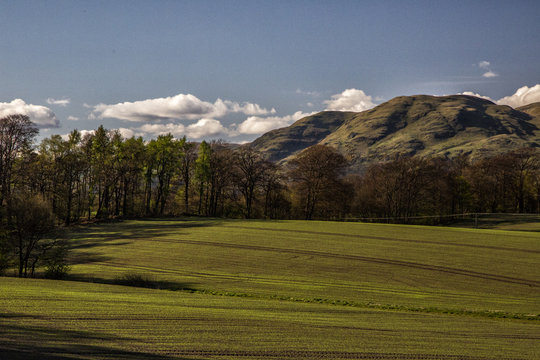 Empty Farm and trees