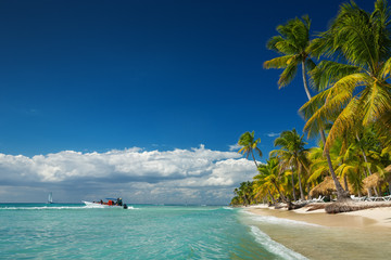 Landscape of paradise tropical island beach