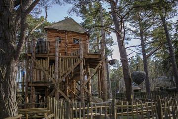 A cool treehouse in a forrest
