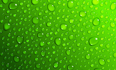 Panele Szklane  Green background of water drops