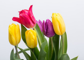 Flower bouquet from colorful tulips