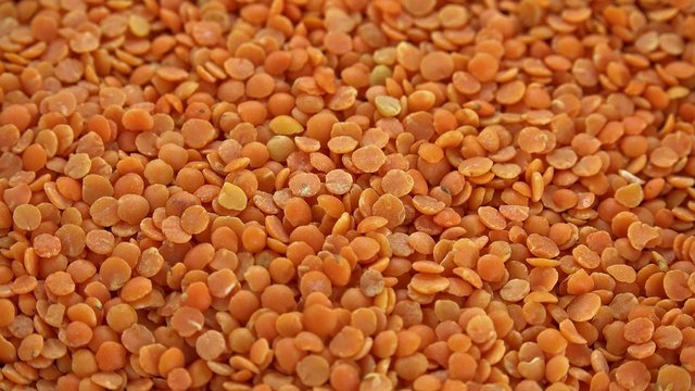 Rotating Red Lentils (not loopable)