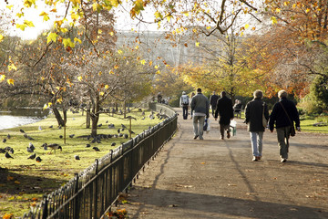Autumn in the city park - 82656462