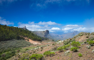 Obraz premium Gran Canaria, Caldera de Tejeda