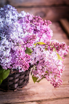 Bouquet of lilacs on wooden background