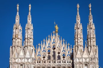 Foto op Plexiglas Monument Marble spires of the Milan Cathedral