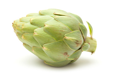 globe artichoke