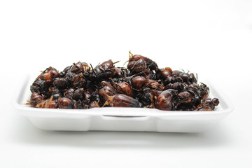 Fried insects