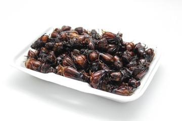 Fried insects