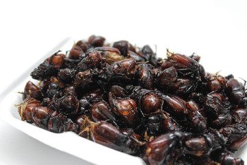 Fried insects