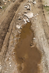 Tire tracks on muddy dirt road