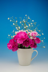 カーネーション