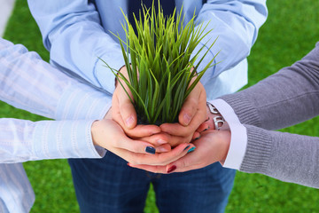 Close-up of businesspeople hands holding plant together