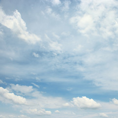 blue sky and beautiful white clouds