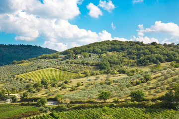 Landscape in Tuscany