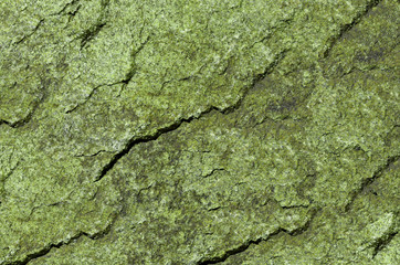 stone texture background