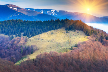 Mountain meadow in the forest in sunlight.