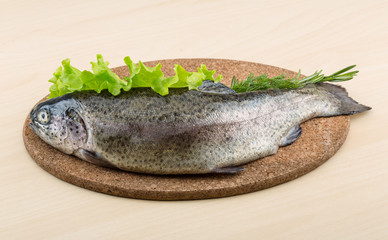 Raw fresh trout