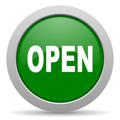 open green glossy web icon
