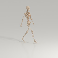 Walking skeleton