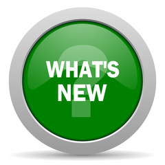 new green glossy web icon