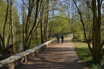 Fototapeta na wymiar Chemin ombragé le long de la marre du parc Solvay-Tournai 