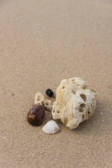 Beach concept background with space on top