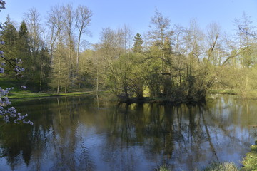 Fototapeta na wymiar Ile de l'étang du parc Solvay Tournai au sud de Bruxelles