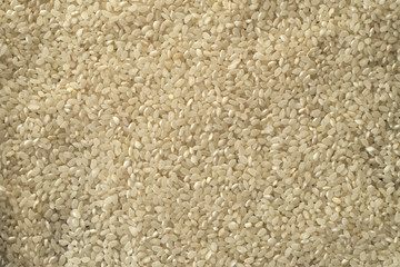 White rice grain background texture
