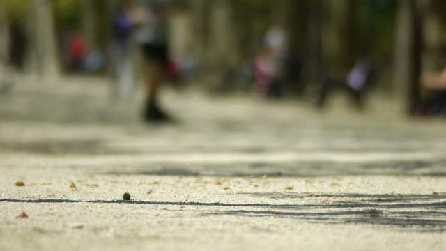 People at the park. Paris, France