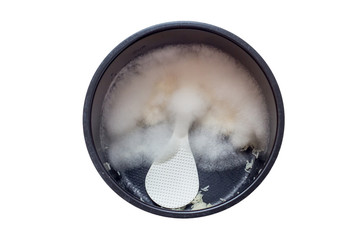 mold in pot cook rice on white background