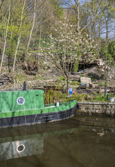 Narrowboat at moorings