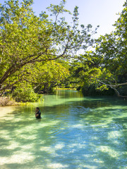 Der versteckte Strand von Frenchmans Cove, Jamaika
