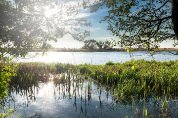 Landscape on the river Nogat, Poland