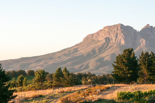 Helderberg In The Setting Sun