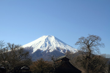 Fototapeta premium 忍野八海と富士山